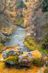 Mar Lodge Estate, Viewpoint over Quoich Water