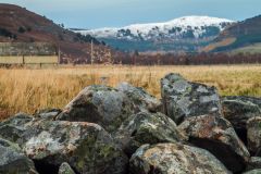Mar Lodge Estate, Countryside near Linn o' Quoich