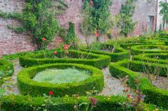 Flower beds in the walled garden
