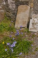 Gravestones in the churchyard