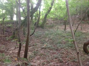 Llanilid Castle Ringwork