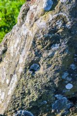 Loanhead of Daviot Stone Circle, Cup marks in a fallen stone