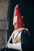 London, Lifeguard, Whitehall