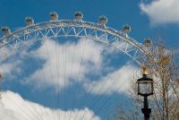 London, London Eye from Whitehall