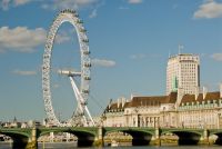 London, London Eye from Victoria Tower Gardens