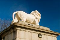 London, South Bank Lion
