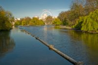 London, Whitehall from St James Park