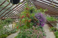 London, Chelsea Physic Garden greenhouse