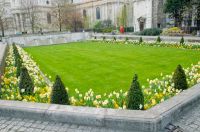 London, Cordwainer's Garden