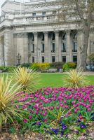 London, Trinity Square Garden