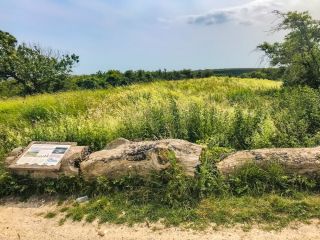 Long Burgh Barrow