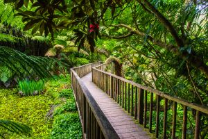 Lost Gardens of Heligan