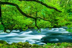 The beginning of the walk, beside the River Rothay