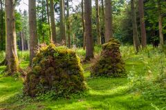 A cairn in the Sweet Scented Garden