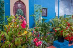 Greenhouse plants in Lullingstone World Garden