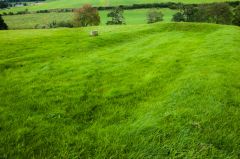 Site of the manor house