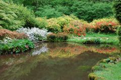 Lydney Park