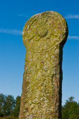 The cross head and central boss