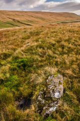 A half-buried standing stone
