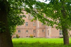 From the Fellow's Garden