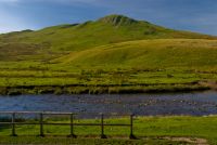 River Eden 3