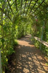 A shady arbour walk