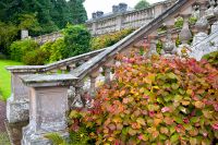 Manderston House, Terrace garden stairs