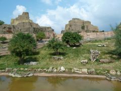 The Mappin Terraces (c) Chris Allen