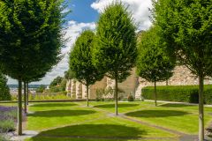 Lincoln Contemporary Heritage Garden