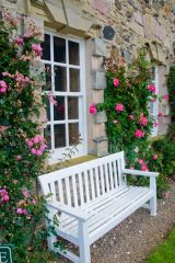 A comfortable shady seat!