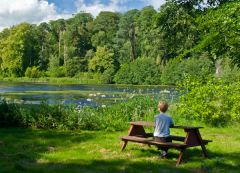 Picnic area by the lake