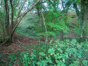 Membury Hillfort