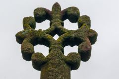 The cross head