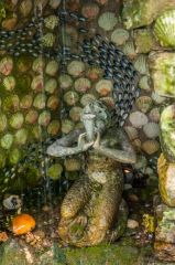 Mill Dene Garden, The shell grotto