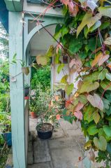 Mill Dene Garden, A shaded garden pavillion