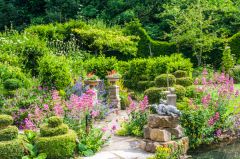 Mill Dene Garden, Garden beside the mill pond