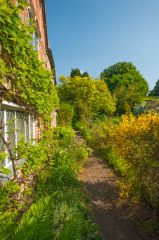 The garden path beside the cottage