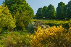 The Grade II listed cottage garden