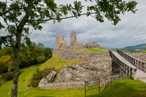 Montgomery Castle