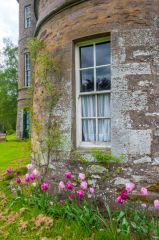 Flowers around the tower base