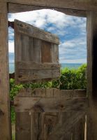 Looking out the Hawker hut