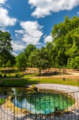 A pool in the gardens