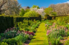 The Double Herbaceous Borders
