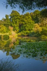 Amphitheatre pool in the country park
