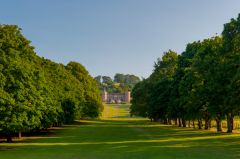 Mount Edgcumbe from the park