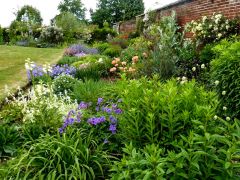 Colourful herbaceous borders (c) Pam Fray