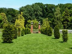A garden gateway and young trees (c) Pam Fray