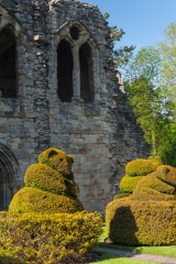 Topiary in the cloisters
