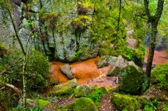 Looking down into the Vat