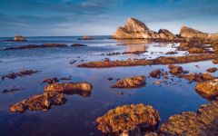 Lulworth Heritage Centre, Rocks at Mupe Bay